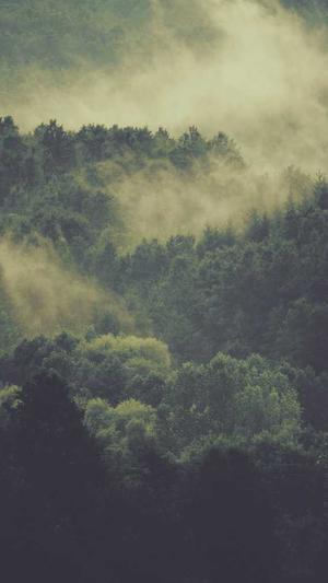 关键词seo优化截图2