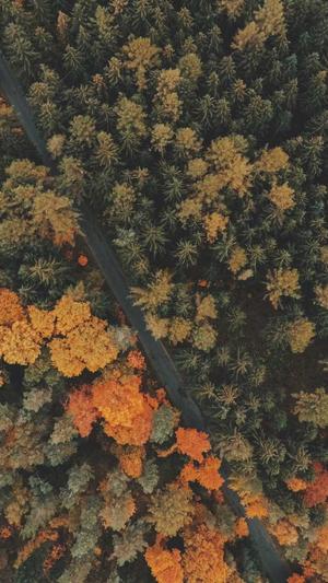 seo布局工具截图5