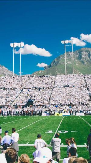 泛目录固定链接提取截图2