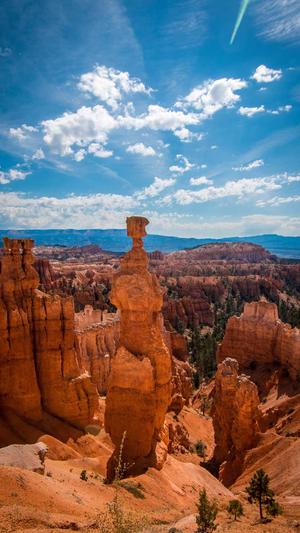 蜘蛛池锁定蜘蛛截图1