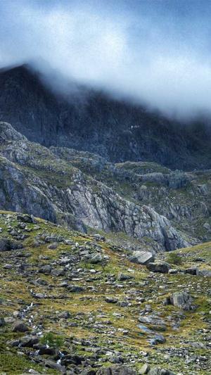 蜘蛛池免费推广截图3