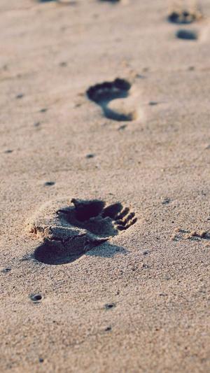 采菊蜘蛛池免费版截图2