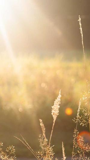 深圳seo排名工具截图2