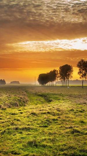 seo外链推广工具截图1