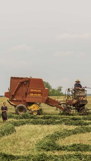 网站建设哪家公司好截图4