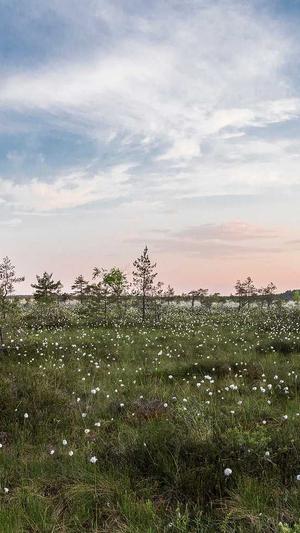 蜘蛛池搭建图片大全截图4