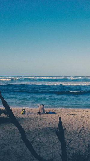 seo泛目录怎么设置黑帽截图2