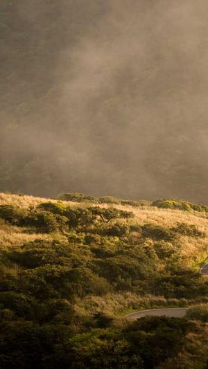 蜘蛛池免费手游推广截图3