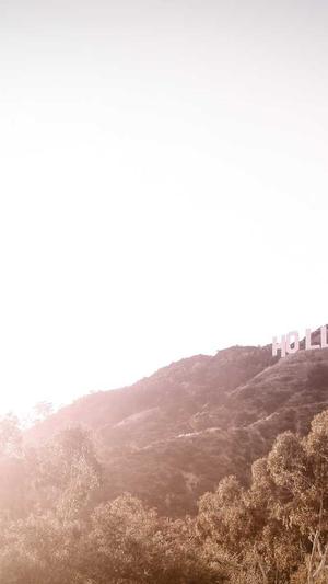 seo抓取链接工具截图4