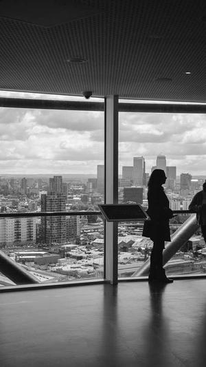 万能蜘蛛池站群截图1