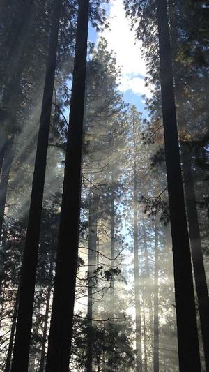 seo排名工具佳选截图1