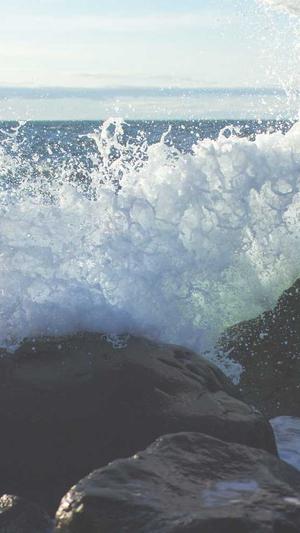 蜘蛛池提交端截图2