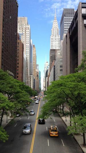 泛目录百度蜘蛛池截图1