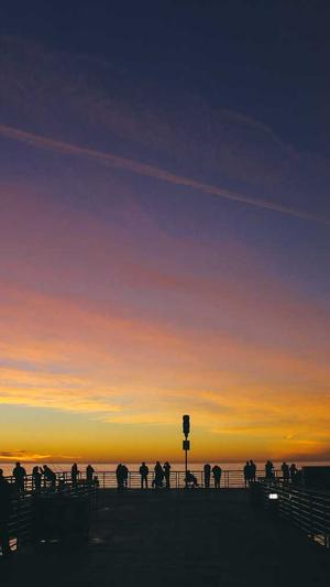 泛目录站群排名截图2