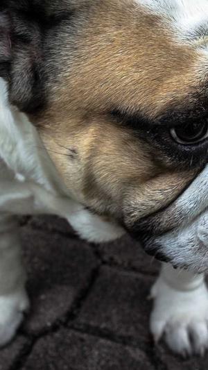 蜘蛛池没有网站能做吗截图3