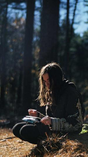 石家庄网站建设截图1