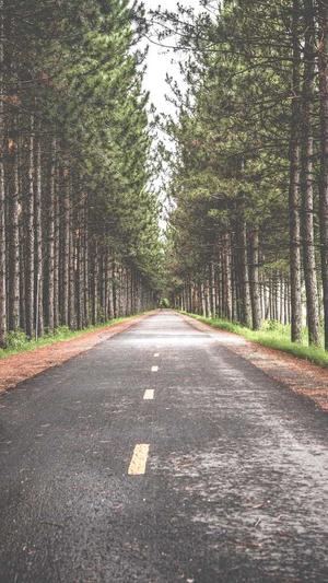 蜘蛛池建模截图2