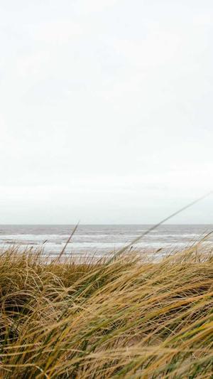 网站建设协议截图1