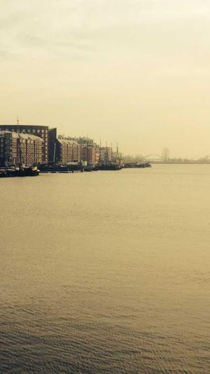 seo自动推广工具截图1