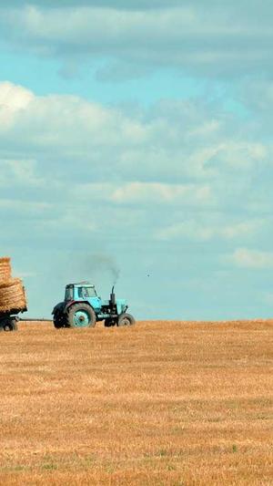 蜘蛛池软件排名截图2