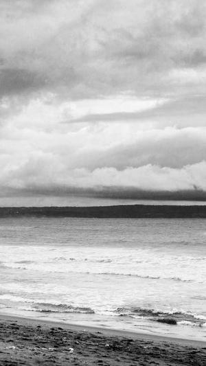 内蒙古蜘蛛池租用服务截图4