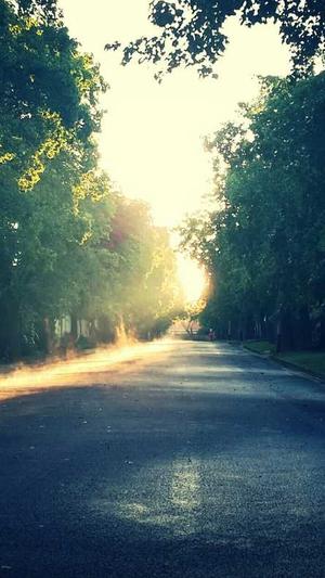 网站建设网站推广截图1