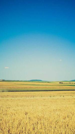 小旋风蜘蛛池源码截图1