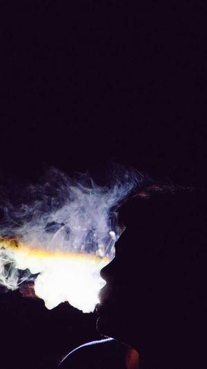 seo工具,站长查询工具截图3