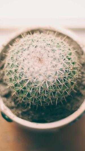 seo优化工具哪家好截图2