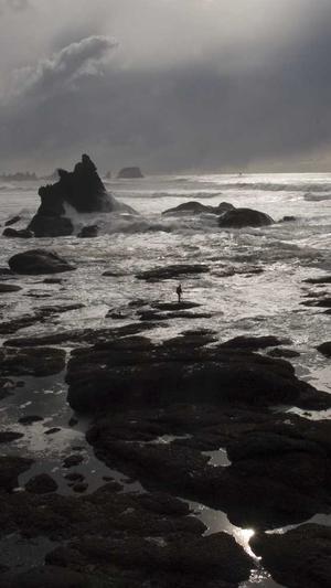 聚合泛目录教程截图1