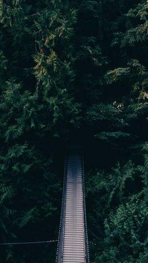 自动seo工具有用吗截图2