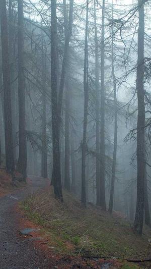 seo优化网络截图3