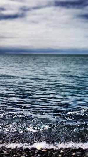 零距离泛目录源码截图4