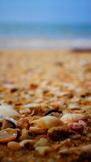 杭州seo优化工具截图2