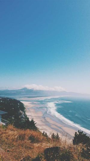 高端网站建设截图1