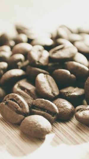 seo关键词优化工具截图1