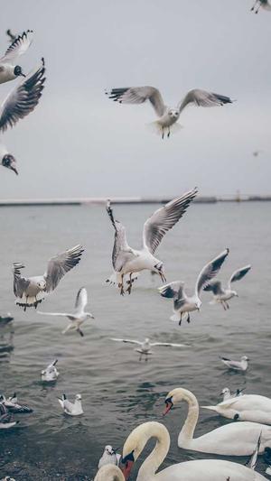 桂林网站建设截图3