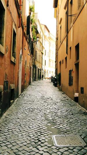 高端企业网站建设蓦然郑州网站建设截图5