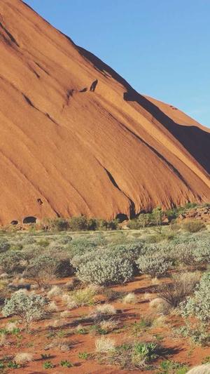 seo 排名工具截图1