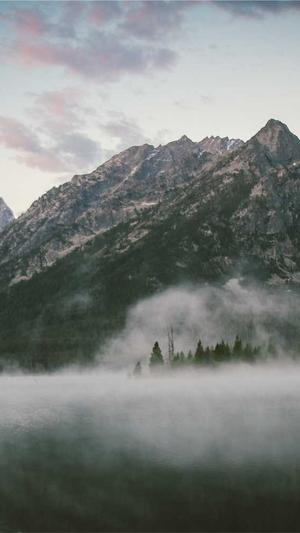 购买蜘蛛池真的有用吗截图4