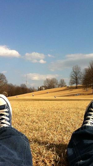 网站建设系统截图3