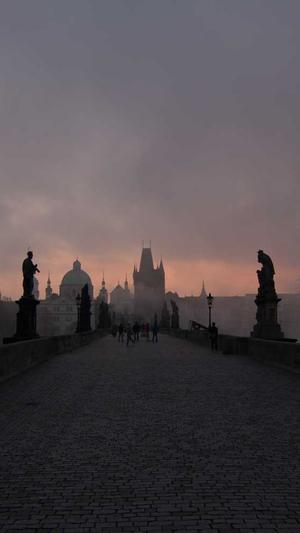 下载站泛目录站群截图4