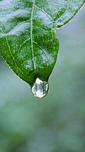 蜘蛛池要用多少域名截图3