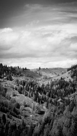 泛目录系统截图2