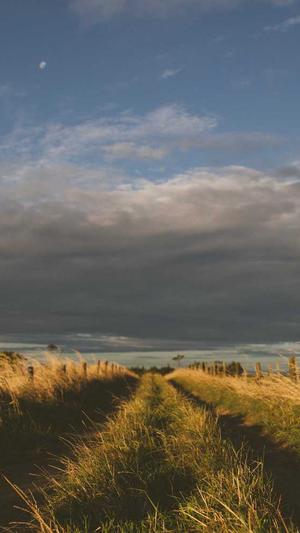 青岛seo培训截图3