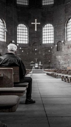 seo工具包括截图2