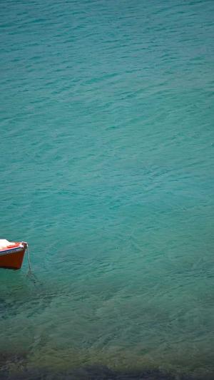 天道蜘蛛池搭建视频截图5