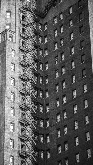 网站怎么放蜘蛛池视频截图3