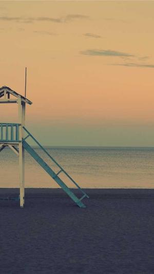 seo排名工具伽薇enuo6688截图3