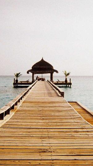 百度seo优化排名截图2